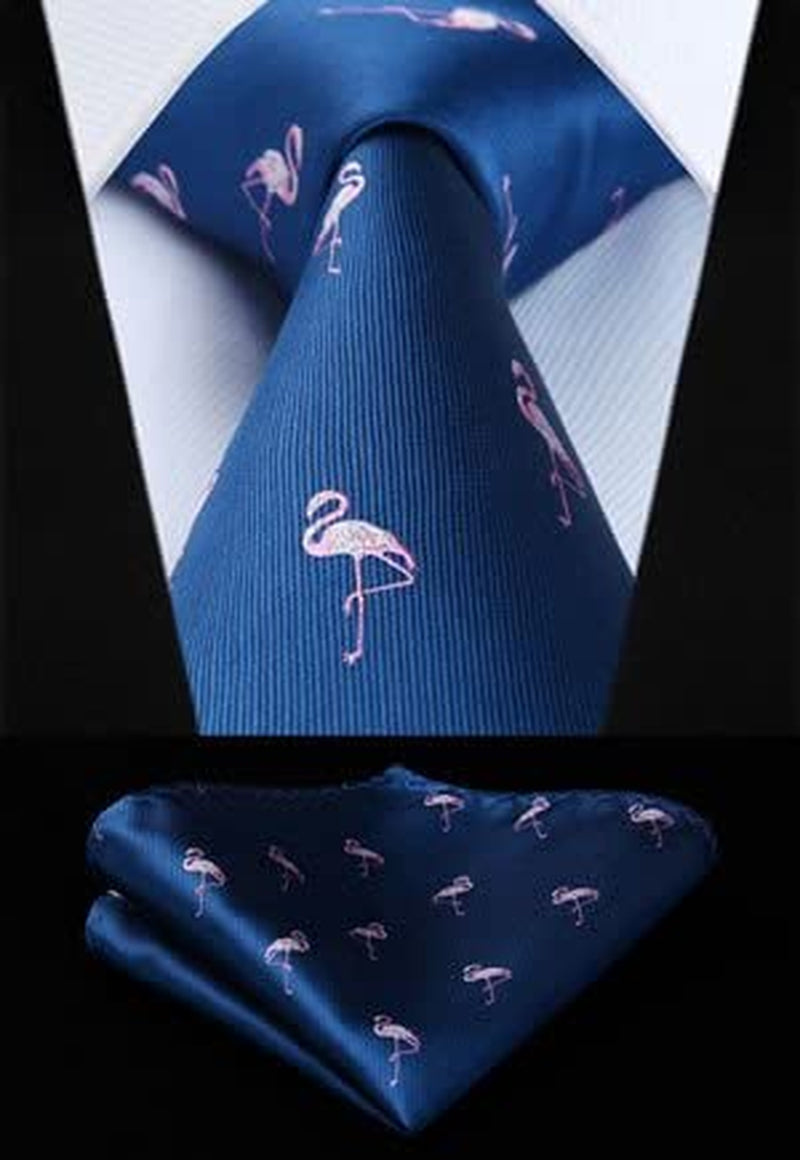 Mens Ties Set 5PCS Collection Tie and Pocket Sqaure Formal Business Neckties Gift Box Wedding Necktie for Men