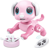 BIRANCO. Updated 2019 Smart Puppy - Remote Control, Gesture Control, STEM Programmable Actions, Lights and Sounds Electronic Pets Dog Toys, Ages 3 and up (Pink)
