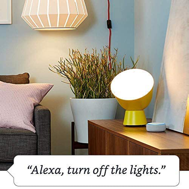 Amazon Smart Plug, Works with Alexa – a Certified for Humans Device