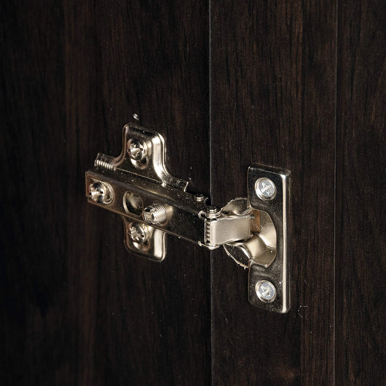 Sauder 419496 Miscellaneous Storage Storage Cabinet, L: 29.61" X W: 16.02" X H: 71.50", Cinnamon Cherry Finish