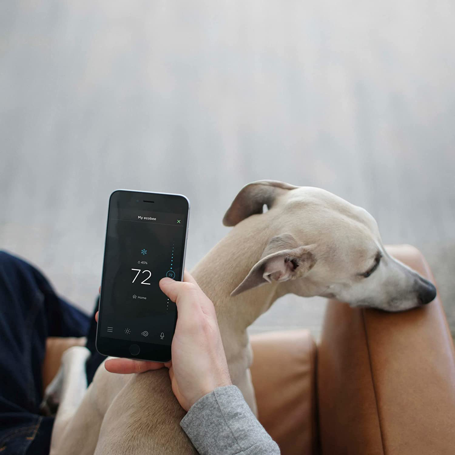 Ecobee Lite Smartthermostat, Black