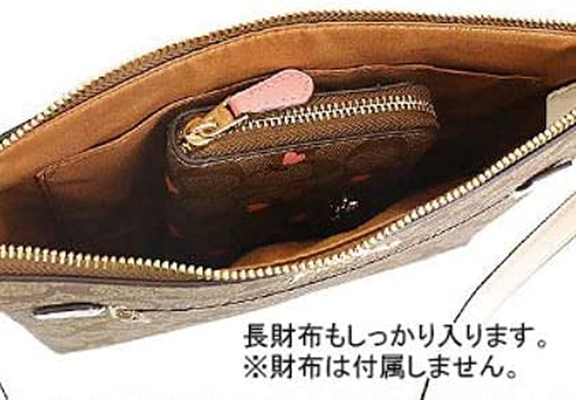 Coach Women'S Rowan File Bag