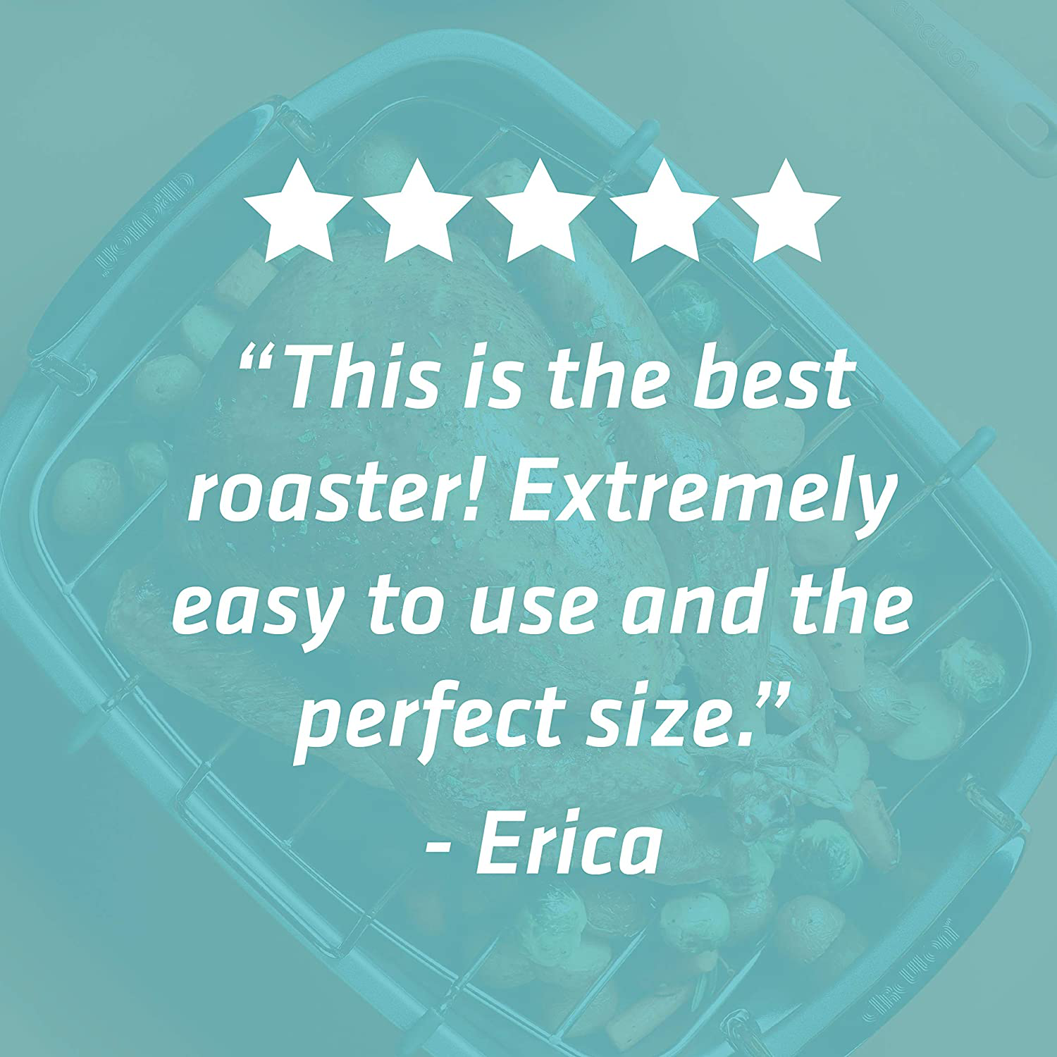 Circulon Nonstick Roasting Pan / Roaster with Rack - 17 Inch X 13 Inch, Gray