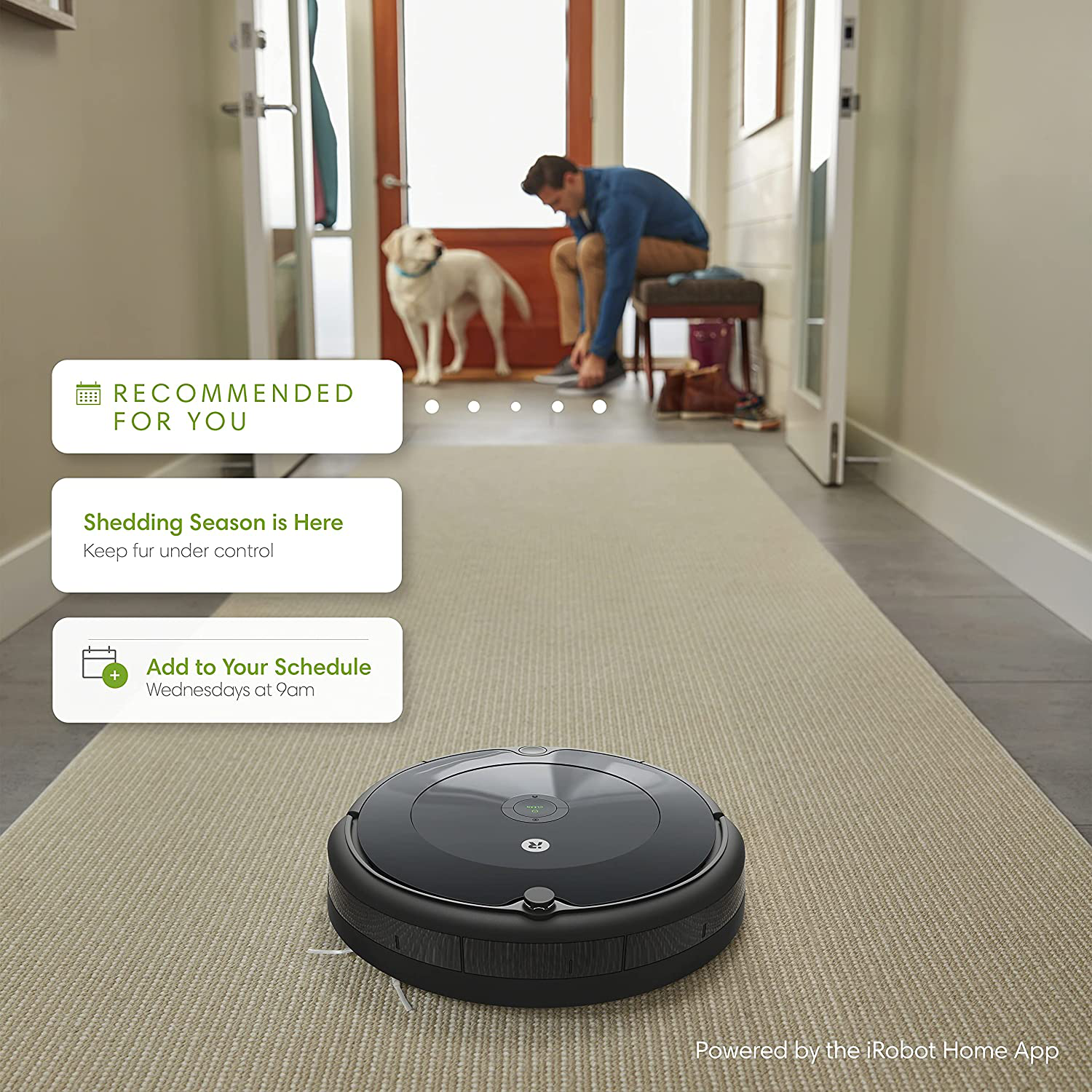 Irobot Roomba 694 Robot Vacuum-Wi-Fi Connectivity, Good for Pet Hair, Carpets, Hard Floors, Self-Charging