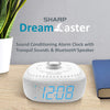 Sound Machine Alarm Clock with Bluetooth Speaker, 6 High Fidelity Sleep Soundtracks – White Noise Machine for Baby, Adults, Home and Office – Blue LED